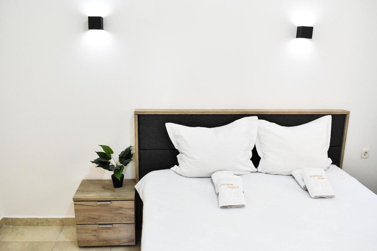 Paunovic Apartments تيفات المظهر الخارجي الصورة